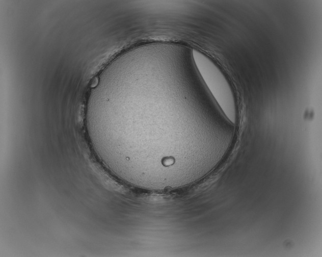 X0000113630305200910021858