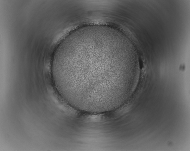 X0000113630306200910021858