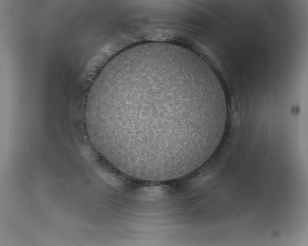 X0000113630307200910021858