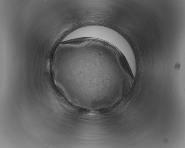 X0000113630308200910021858