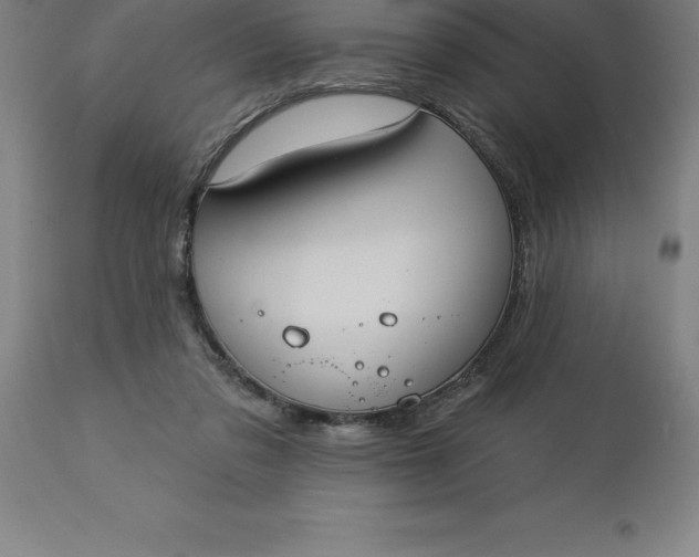 X0000113630309200910021858