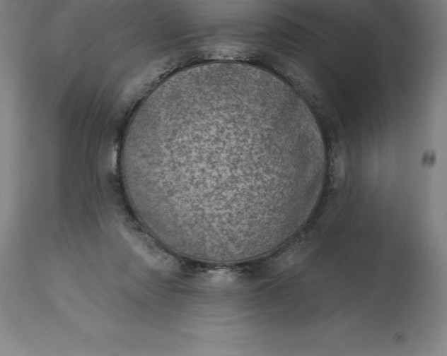 X0000113630310200910021858
