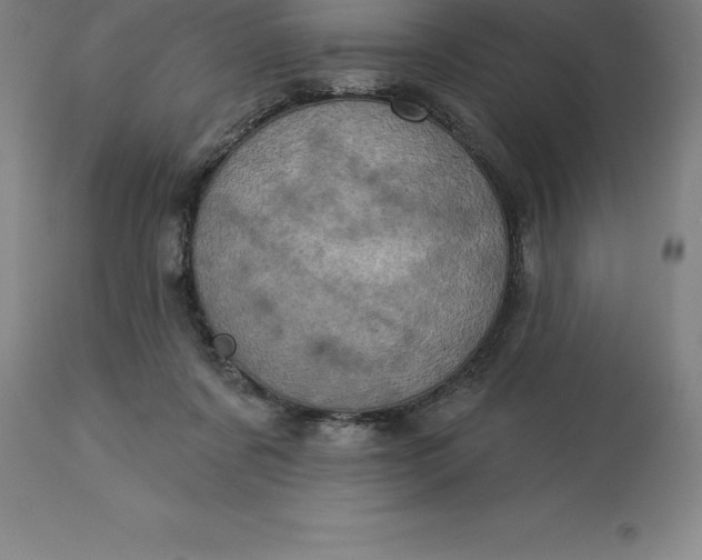 X0000113630311200910021858
