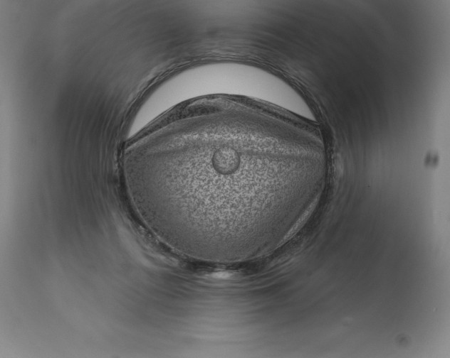 X0000113630312200910021858