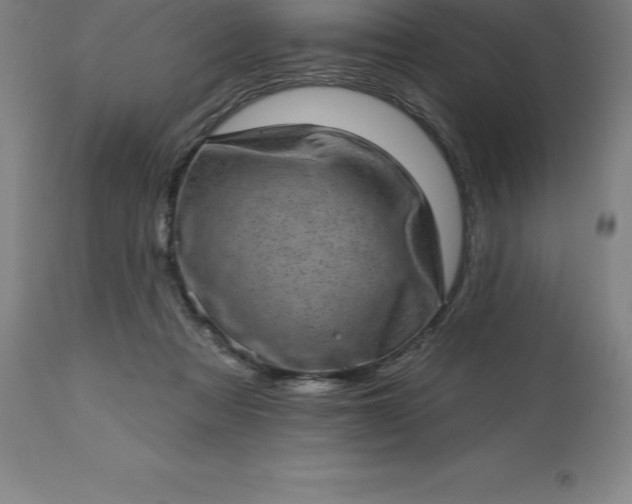 X0000113630313200910021858