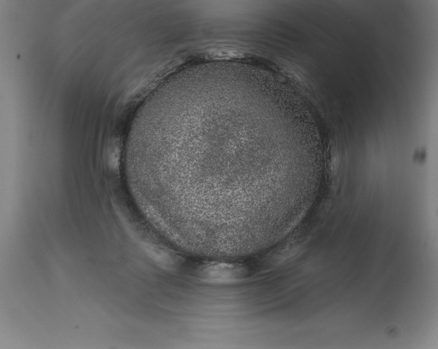 X0000113630315200910021858