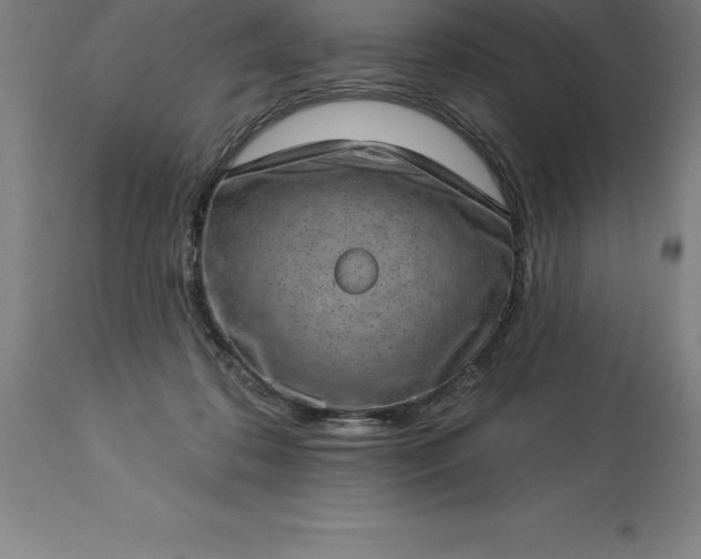 X0000113630316200910021858