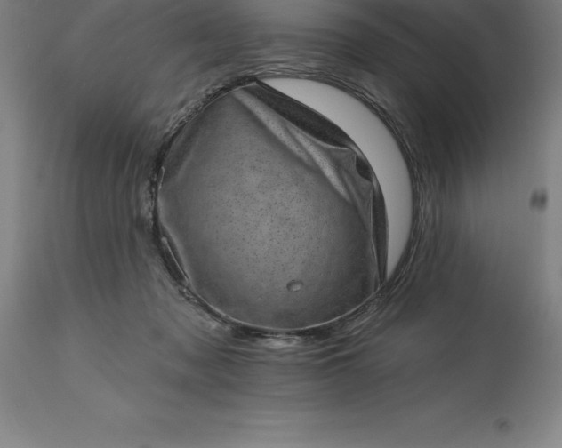 X0000113630317200910021858