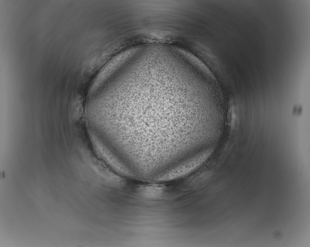 X0000113630318200910021858