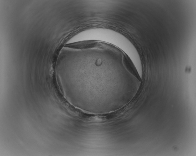 X0000113630320200910021858