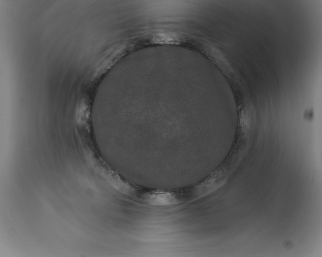X0000113630322200910021858