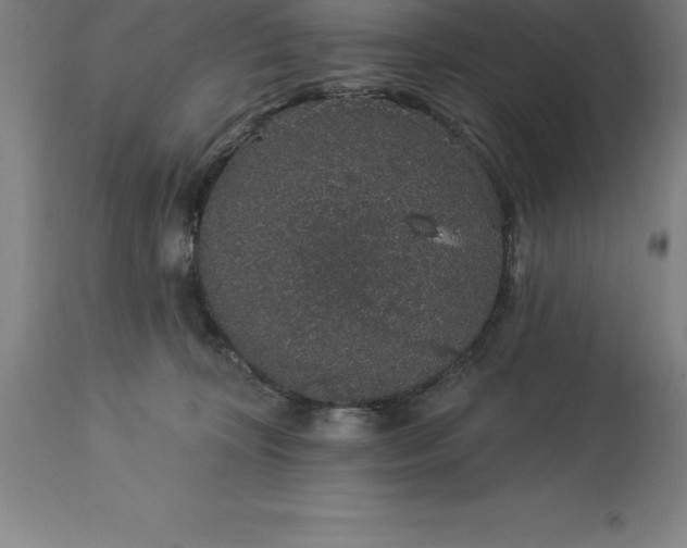 X0000113630324200910021858