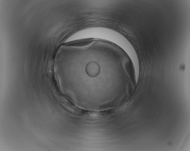 X0000113630325200910021858