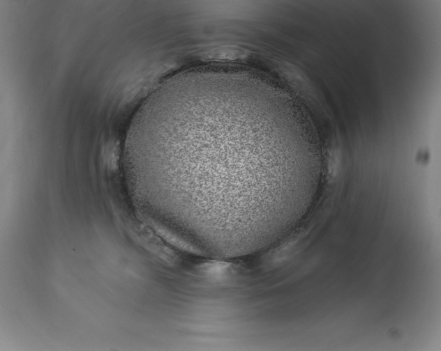 X0000113630326200910021858