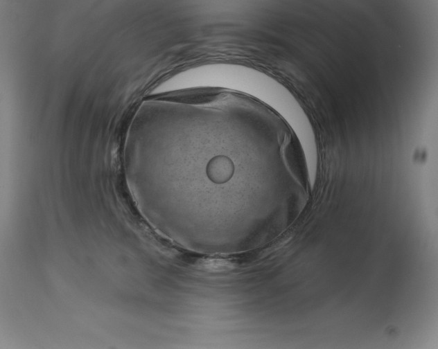 X0000113630327200910021858