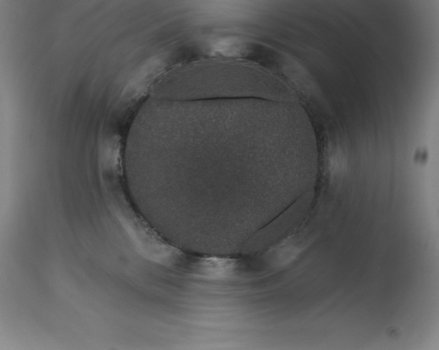 X0000113630328200910021858
