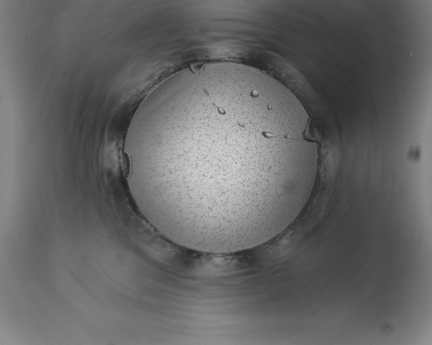 X0000113630329200910021858