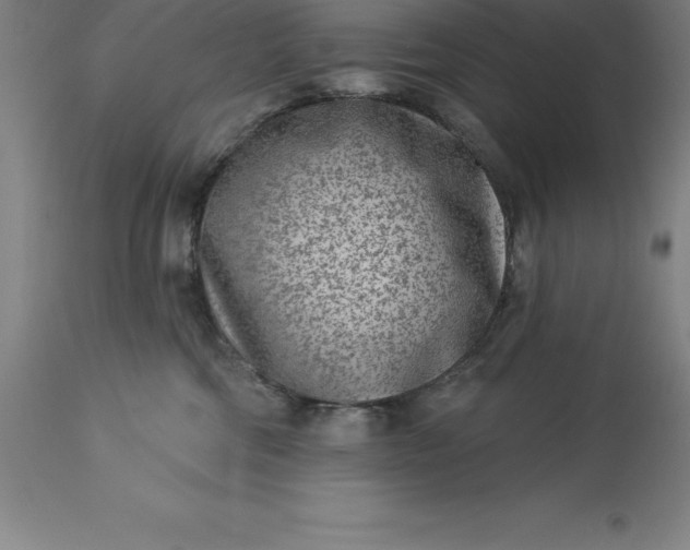 X0000113630330200910021858