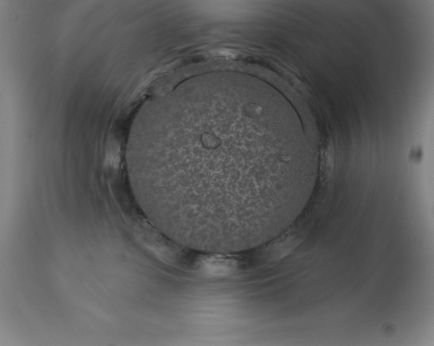 X0000113630331200910021858