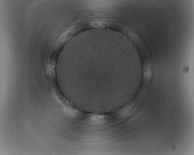 X0000113630332200910021858
