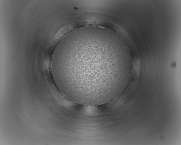 X0000113630333200910021858