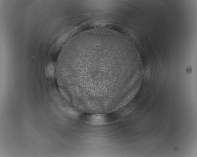 X0000113630335200910021857