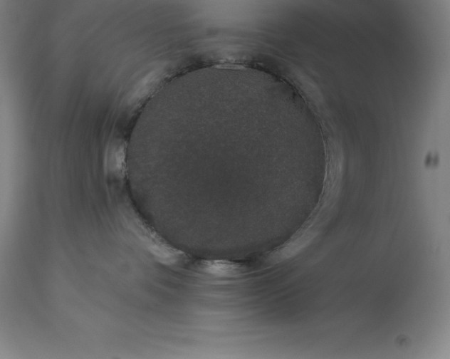 X0000113630336200910021857