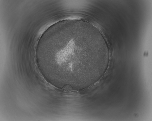 X0000113630337200910021857