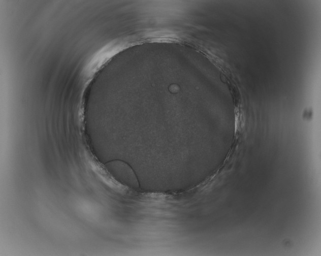 X0000113630339200910021857