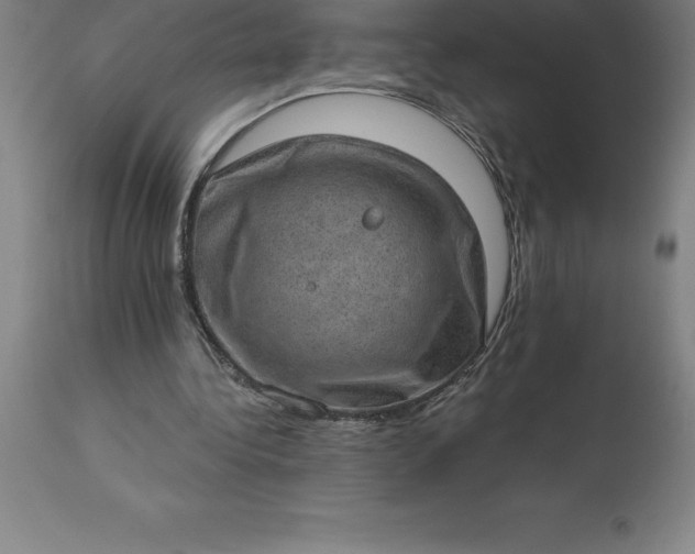 X0000113630340200910021857