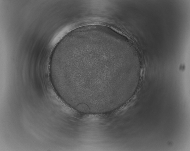 X0000113630341200910021857