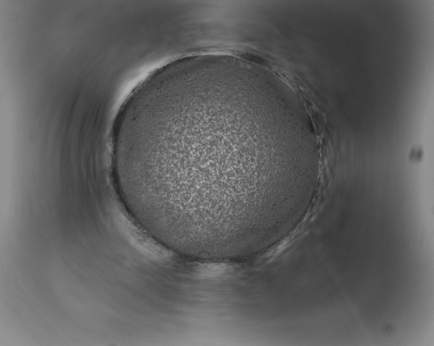 X0000113630342200910021857