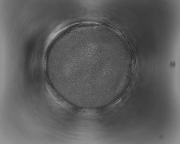 X0000113630343200910021857