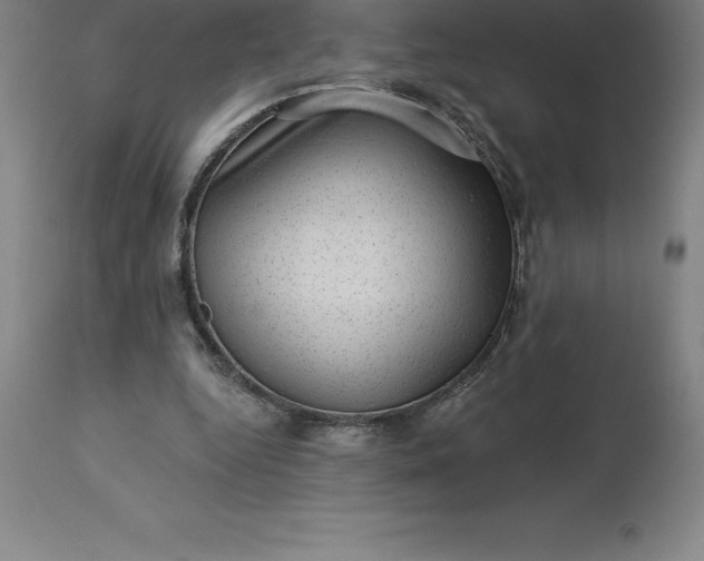 X0000113630344200910021857