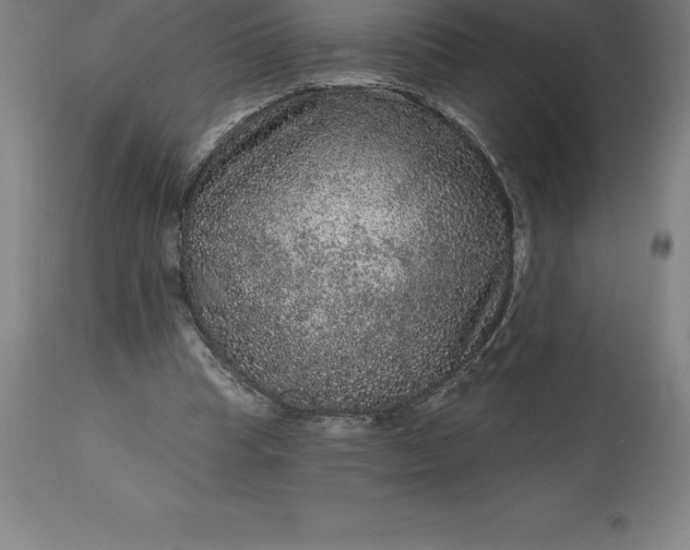 X0000113630345200910021857