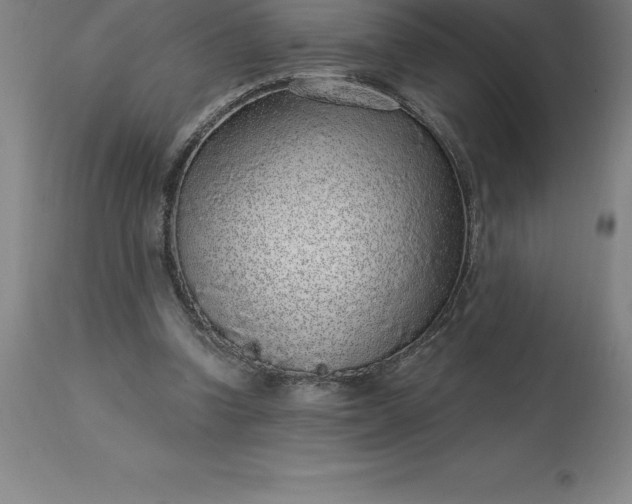 X0000113630346200910021857