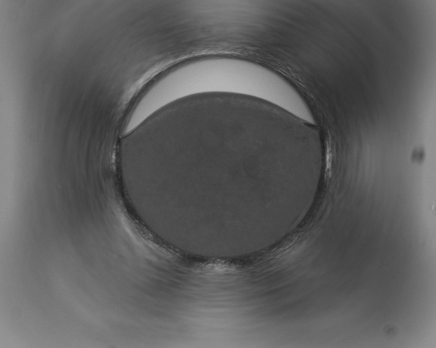 X0000113630348200910021857