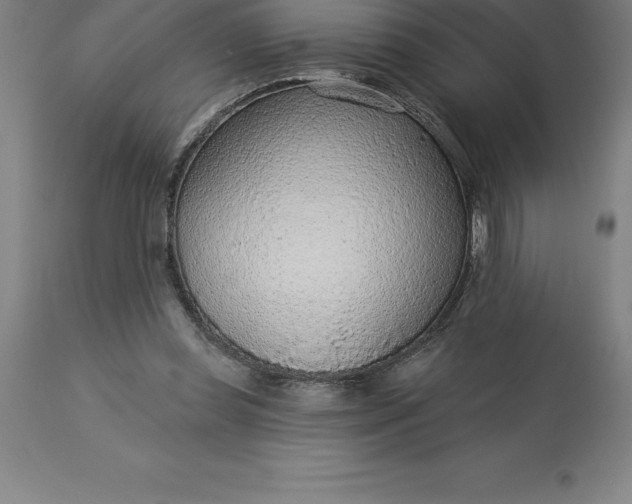 X0000113630349200910021857