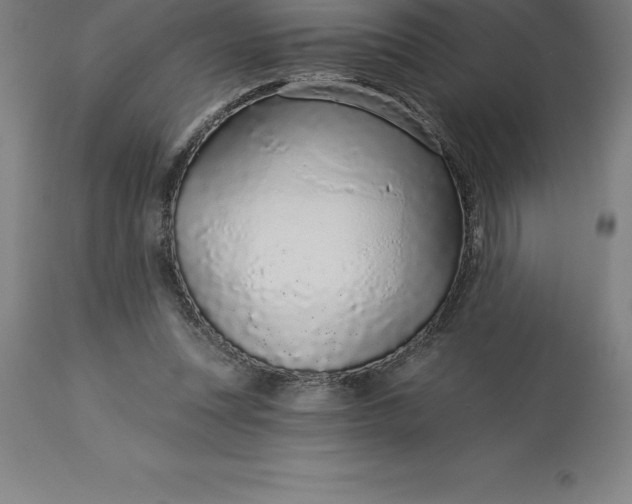 X0000113630351200910021857