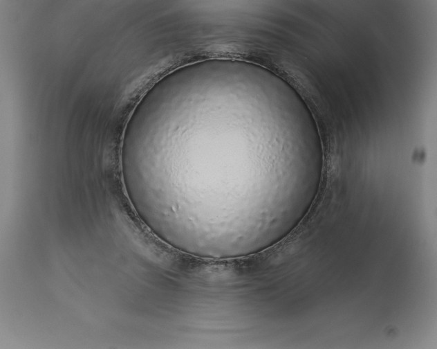 X0000113630353200910021857
