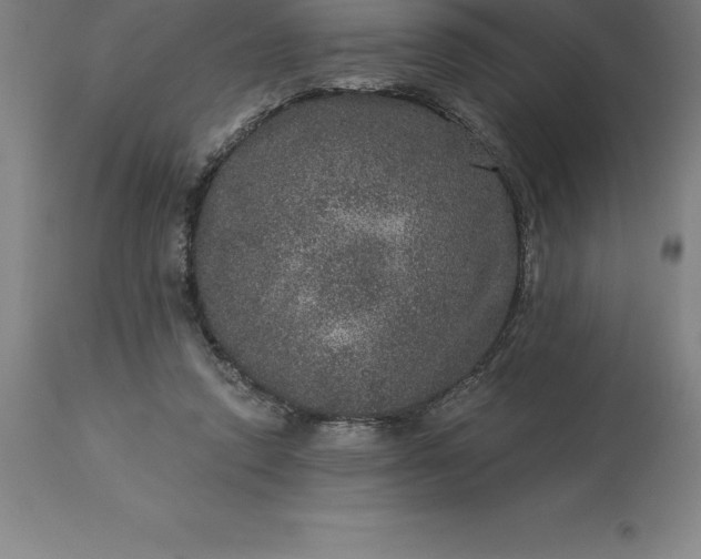 X0000113630354200910021857