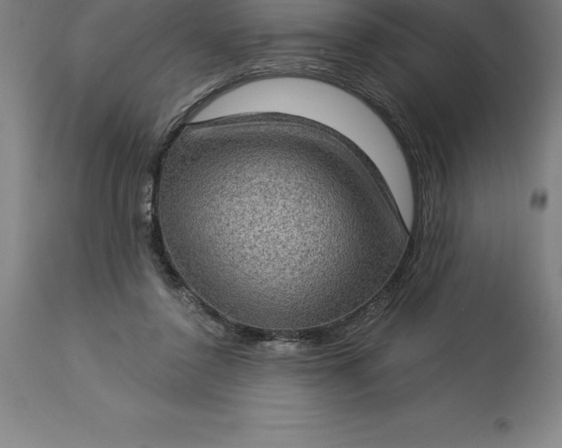 X0000113630356200910021857
