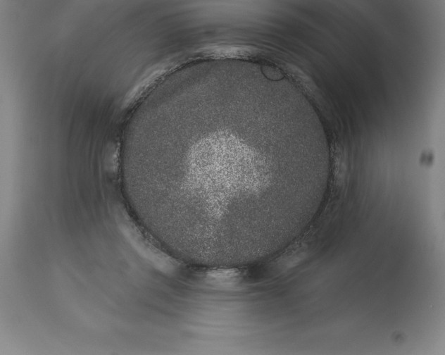 X0000113630357200910021857