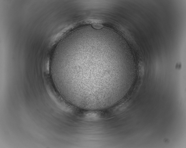 X0000113630358200910021857