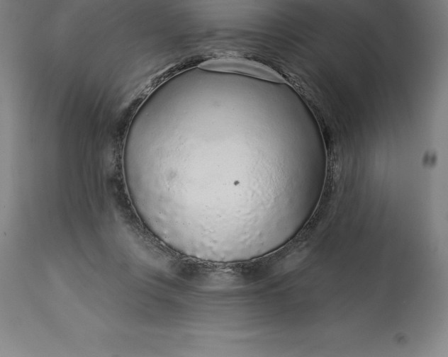 X0000113630359200910021857