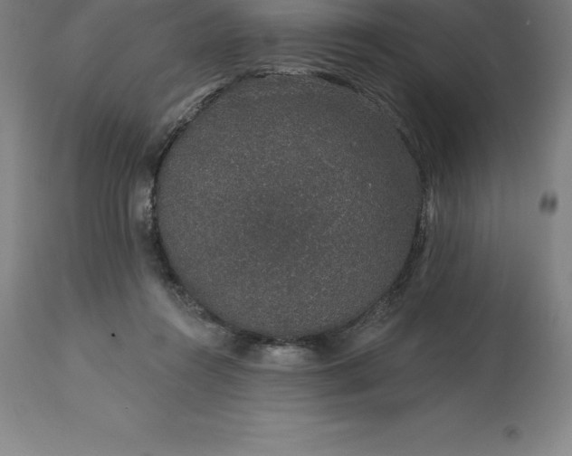 X0000113630360200910021857