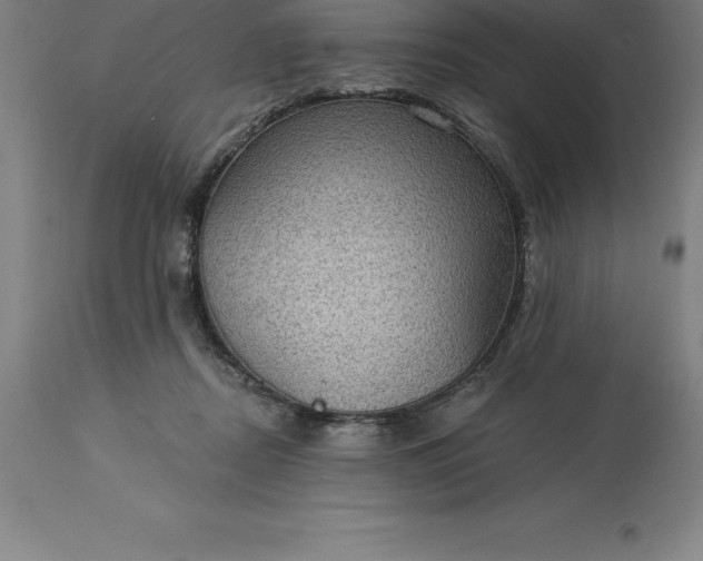 X0000113630362200910021857