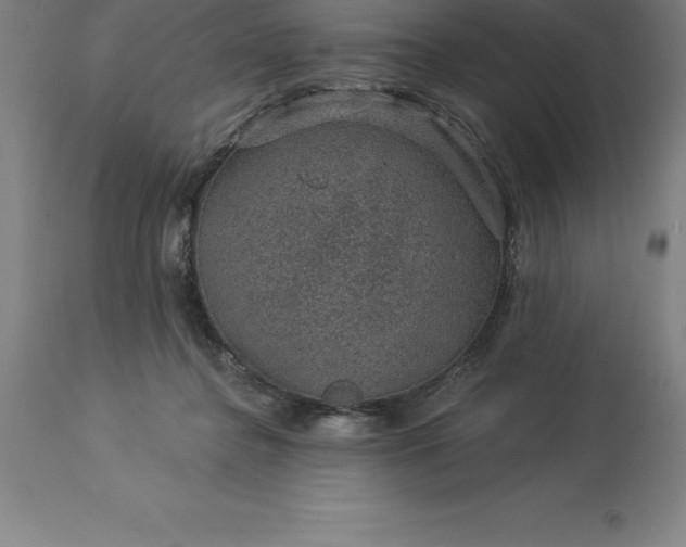 X0000113630364200910021857