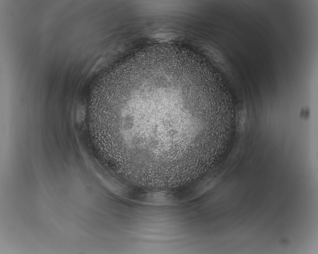 X0000113630365200910021857