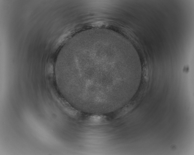 X0000113630375200910021857
